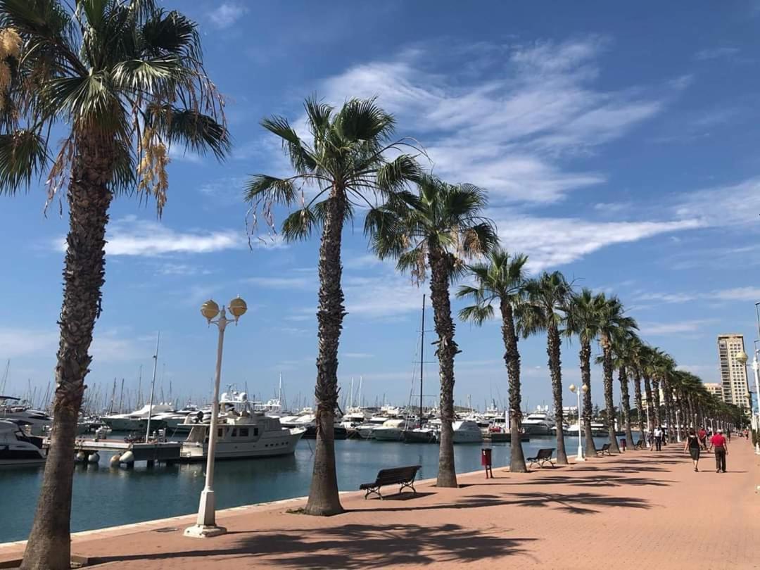 Casaturis Estudio Vistas Increibles En Centro De Alicante A115 المظهر الخارجي الصورة